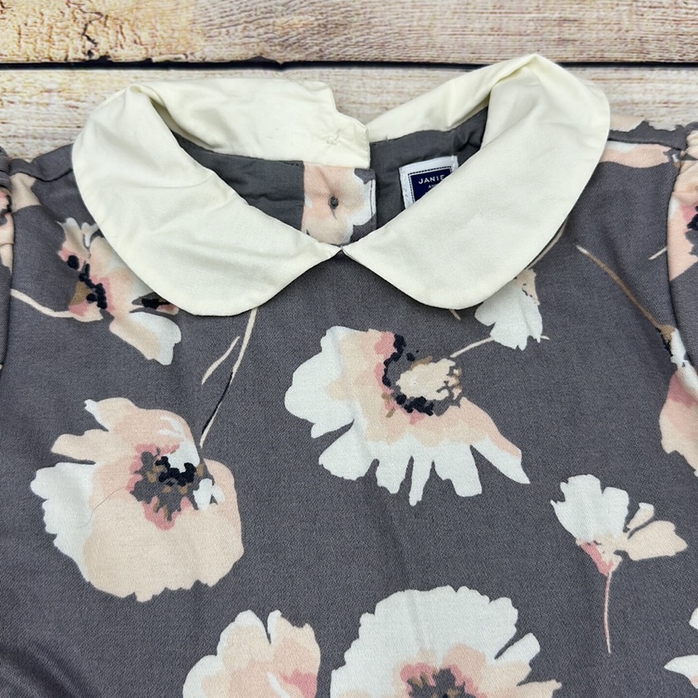 Janie and Jack Grey Cream and Pink Peter Pan Collar Dress w/ Tulle Linin… - Picture 4 of 8